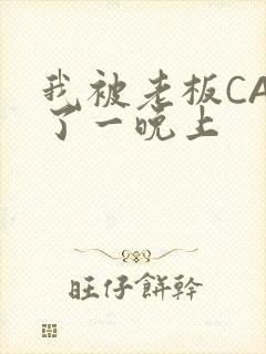 我被老板CAO了一晚上