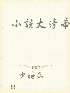 小说大清帝国