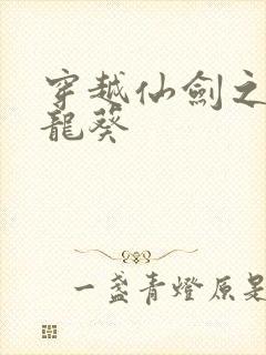 穿越仙剑之守护龙葵