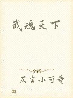 武魂天下