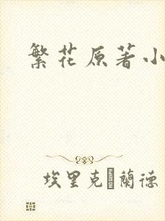 繁花原著小说