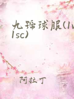 九号球服(1v1sc)