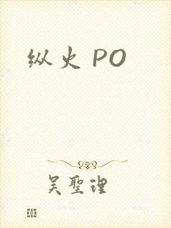 纵火 PO