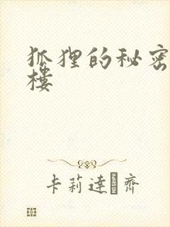 狐狸的秘密19楼