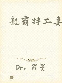 龙霸特工妻