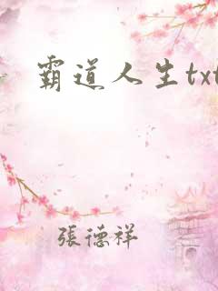 霸道人生txt
