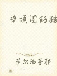 带项圈的猫耳娘