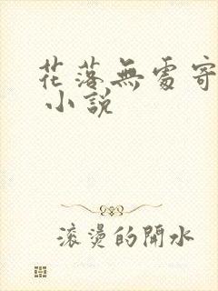 花落无处寄相思 小说