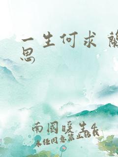 一生何求 兰思思