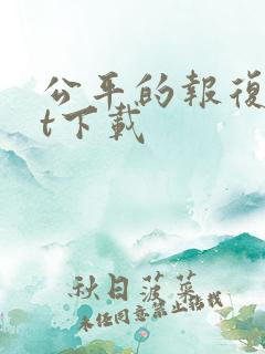 公平的报复txt下载