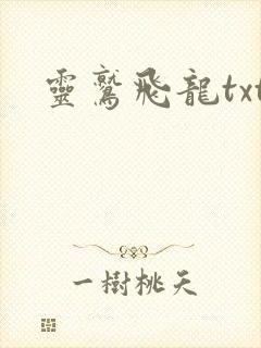灵鹫飞龙txt
