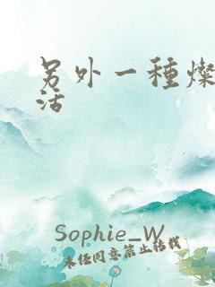 另外一种灿烂生活