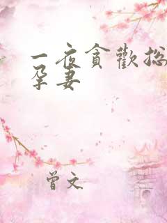 一夜贪欢总裁幸孕妻