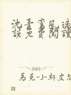 沈青鸾风璃宸小说免费阅读