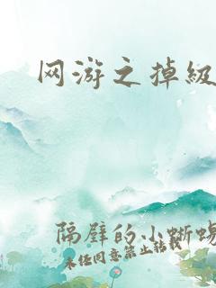 网游之掉级专家