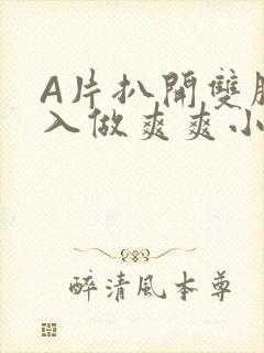 A片扒开双腿进入做爽爽小说