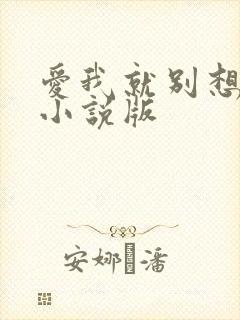 爱我就别想太多小说版
