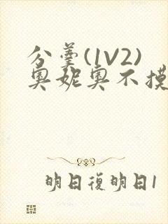 分羹(1V2)奥妮奥不摸鱼