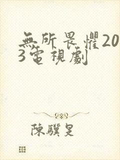 无所畏惧2023电视剧