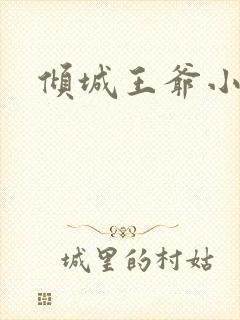 倾城王爷小小妃
