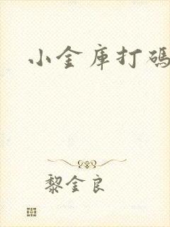 小金库打码平台