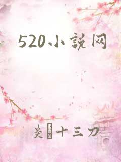 520小说网