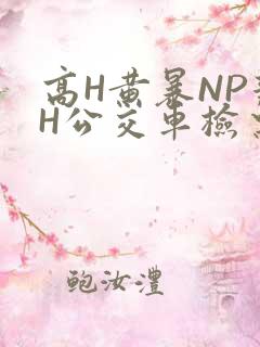 高H黄暴NP辣H公交车检票员