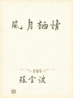 风月栖情