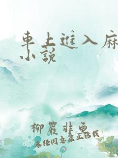 车上进入麻麻的小说