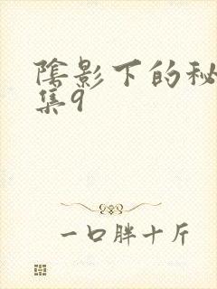 阴影下的秘密全集9