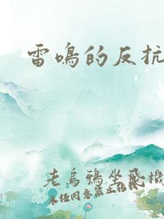 雷鸣的反抗者