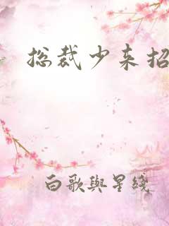 总裁少来招惹我