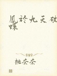 凤于九天破茧成蝶