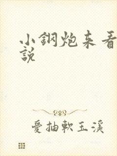 小钢炮来看我小说