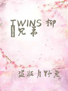 TWINS 柳澤兄弟
