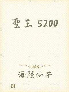 圣王 5200
