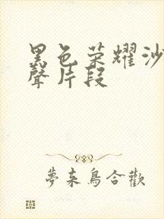 黑色荣耀沙发原声片段