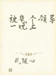 被几个领导玩弄一晚上