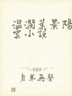 温澜叶景阳温云云小说