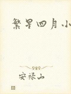 繁星四月小说