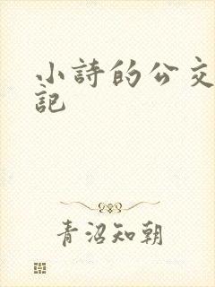 小诗的公交车日记