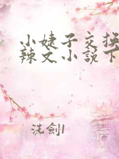 小婕子交换系列辣文小说下载