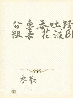 公车吞吐跨坐 粗长 花液BL