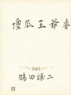 傻瓜王爷睿智妃