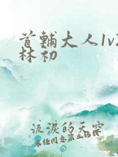 首辅大人1v2林初