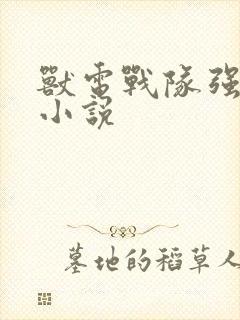 兽电战队强龙者小说