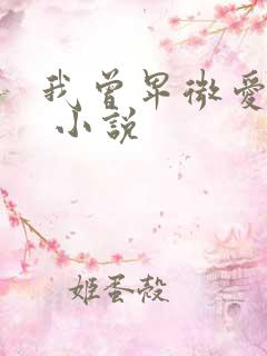 我曾卑微爱过你 小说