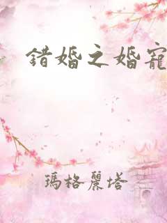 错婚之婚宠一世