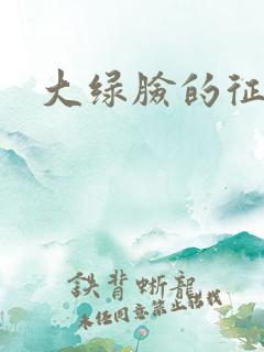 大绿脸的征途