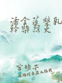 潘金莲双乳晃动干柴烈火